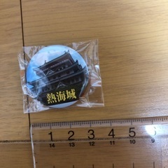 缶バッジ　熱海城の画像