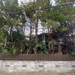 草刈、庭の手入れ - リフォーム