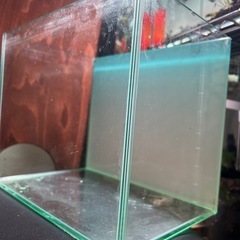 透明なガラス水槽と5wのLEDライトがセット。の画像