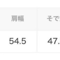 KBF ダブルスリーブギャザーシャツの画像