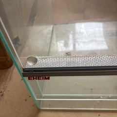 爬虫類　ゲージ　水槽　ペットの画像
