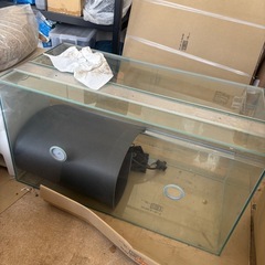爬虫類　ゲージ　水槽　ペットの画像