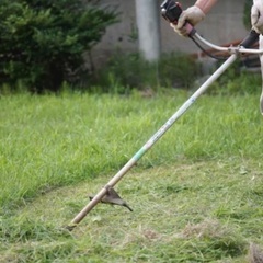 🌱 【草刈り・清掃のみも可】外構まわりの“困った”をサポート！