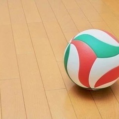 革の6人制バレーボールのメンバーを募集しています！