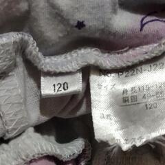 双子 姉妹 フリフリパンツ の画像