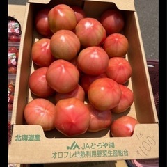 大好評な洞爺温泉🍅オロフレトマト明日久しぶりに入荷されます✨✨