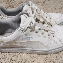 PUMA（プーマ）　スニーカー23.5cmの画像