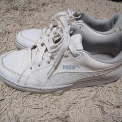 PUMA（プーマ）　スニーカー23.5cmの画像