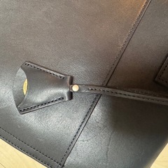 Aniary ブリーフバッグ アクシスレザーの画像