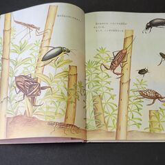 児童向け「昆虫ーちいさななかまたち」　得田之久 ぶん/絵の画像