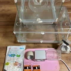 ハムスター　ハリネズミ　飼育セットの画像