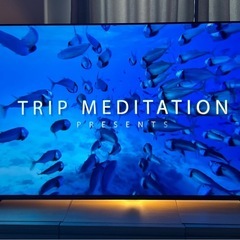 【送料無料】SONY 55型2023年製 BRAVIA XRJ-55A80Lの画像