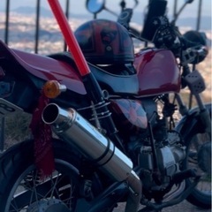 gs50

