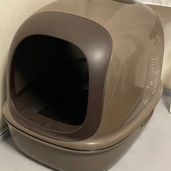 猫　トイレ　ブラウン