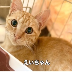 ちょっとオドオドした可愛い男の子