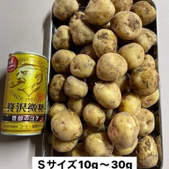 きたあかり新じゃがの画像