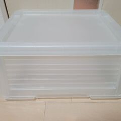 衣装ケース 収納 イオン プラスチック ポリプロピレンの画像