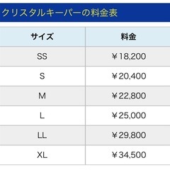 カーコーティング - 手伝いたい/助けたい