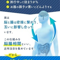 乳酸菌 サプリ ラフマ 食物繊維 （ 1日1粒 / 30日分 ）の画像