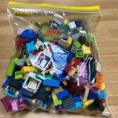 LEGO ブロック　不揃いの画像