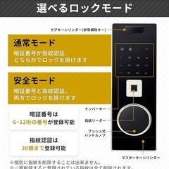 【価格交渉OK】金庫超大型 103L 指紋認証 家庭用 4種類解錠 家庭用人気 アラーム機能付きの画像