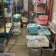 ペット用品閉店セール最終日特典ありの画像