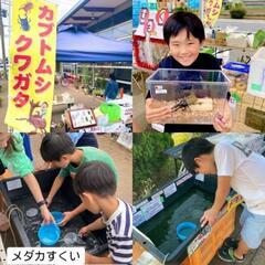 🌈🍀地域、社会に貢献する為の昆虫・メダカ販売（チャリティー）🌈🍀 - その他