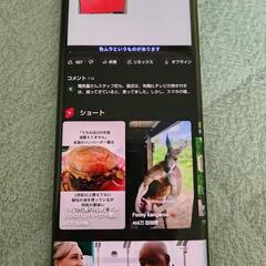 ライカ　スマートフォンの画像