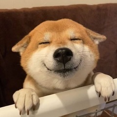 犬好きさんと話したいです〜！🐶