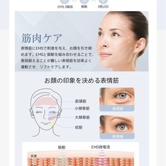 ANLAN 温冷美顔器PROの画像
