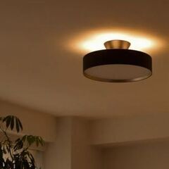 (55)  アートワークスタジオ グロー 4000 LED シー...