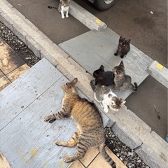 里親募集
