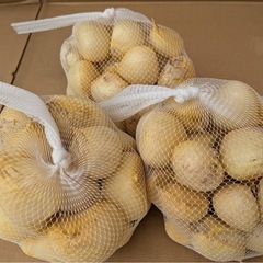 新鮮　和歌山産　無臭ジャンボにんにく1キロ（ＬからＬＬサイズ）の画像