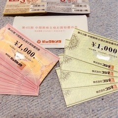 【最新】ビックカメラ　コジマ　12000円分