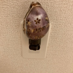 Okinawa 沖縄ライト　の画像
