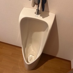 男性用トイレの画像