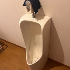男性用トイレの画像