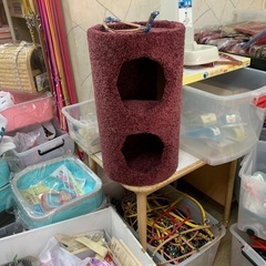 トリミング用ハサミ200円砂100円他追加(本日限り)の画像