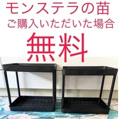 【未使用品】 　プラスチックスリム棚　植木鉢やフィギュアや雑貨や...