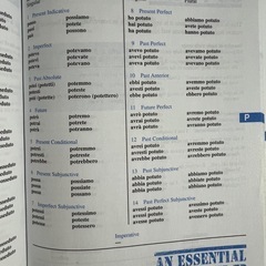 501 ITALIAN VERBS 第3版の画像