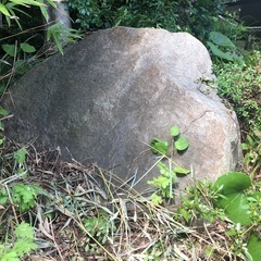 庭石の画像