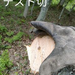 充電式 電動チェーンソー 🔴先着一人⭐️新品モニター品　値引き不可　の画像