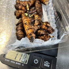 500円　秋ウコン(ターメリック) 　発根した種芋100gの画像