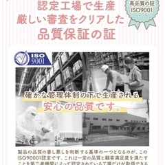 【知育玩具】体幹、バランスボードの画像