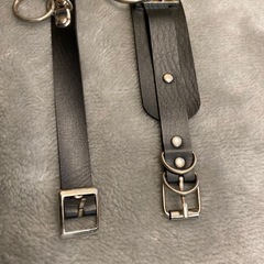 アクセサリー  チョーカー の画像