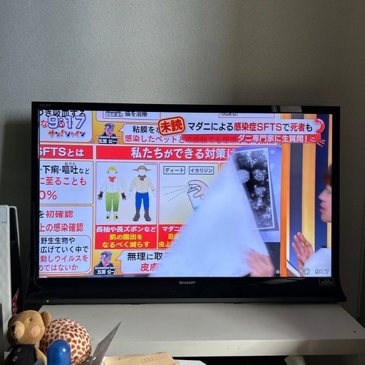 急募！29日までの限定出品　テレビ