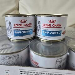 低分子プロティン