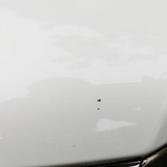 ノア60系　ボンネット　パールホワイトの画像