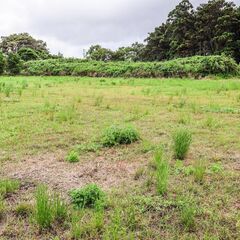 茨城県鹿嶋市大字神向寺新畑の畑用地です。 残り5区画、広さも価格も選べます！ - 不動産