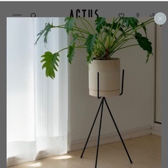 【定価¥2,750】【ACTUS/アクタス】FARM | ポットスタンド フォーク （高さ50cm）ブラック 植木鉢脚　黒　観葉植物　の画像